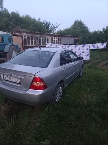 Toyota: Toyota Corolla: 2003 г., 1.6 л, Механика, Бензин, Седан at lalafo.kg Toyota: Toyota Corolla: 2003 г., 1.6 л, Механика, Бензин, Седан