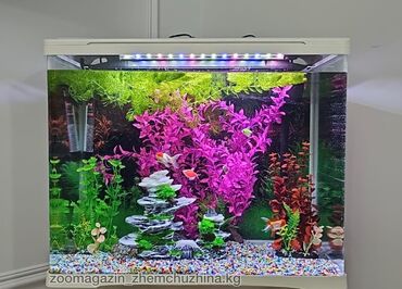 Аквариумы: Рыбки | Аквариумы | Оборудование | Аксессуары | Растения Богатый опыт — 13
