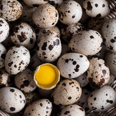 яйцо перепела: Натуральные перепелинные яйца