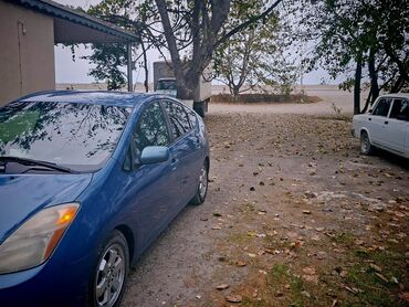 Toyota: Toyota Prius: 1.5 l | 2008 il Hetçbek — 10