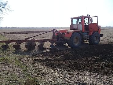 Тракторы МТЗ (Беларус): Модель: Другие тракторы МТЗ, Б/у, 1987 г., Трактор с другими агрегатами — 11