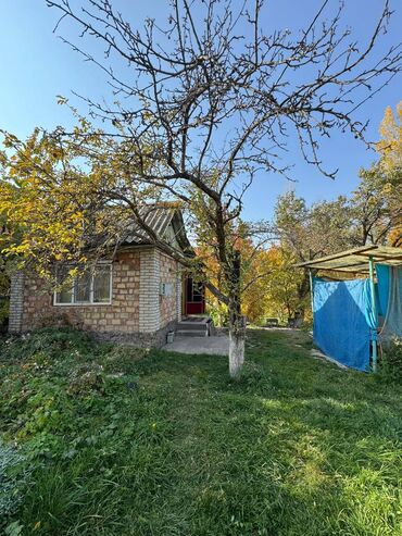 долгосрочная аренда домов арча бешик: Дача, 45 м², 2 комнаты, Агентство недвижимости