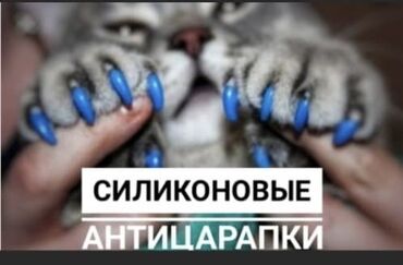 Зоотовары: Силиконовые антицарапки. Многие на просторах интернета сталкивались