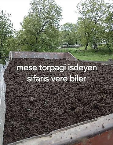 taxta evlerin satisi ve tikilmesi: Qara Torpaq Və Peyin Torpaq Satışı: Kənd təsərrüfatı, bağçılıq və ya — 1