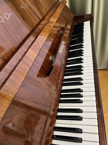 körpü: Piano – “Юность” (Yunost) markalı Xüsusiyyətlər: - Akustik upright — 7
