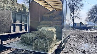Корма для с/х животных: Сено в тюках 2 кос беде самовывоз - Формат: прямоугольные тюки — 7