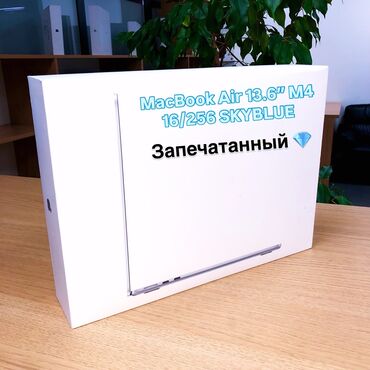 компьютерные мыши uft: Ноутбук, Apple, 16 ГБ ОЭТ, Apple M4, 13.5 ", Жаңы, Жумуш, окуу үчүн, эс тутум SSD