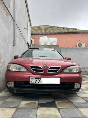 Nissan: Nissan Primera: 2 l | 2000 il Sedan