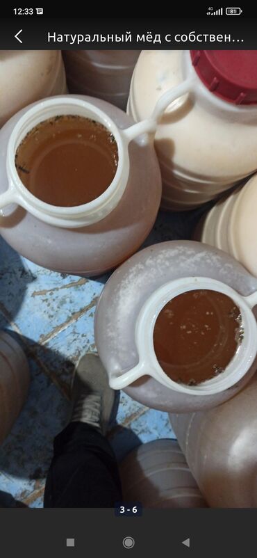 мёд цена за 1 кг бишкек: Токтогулдун таза балы,өз бал челекчеси 2023 жаңы. СВЕЖИЙ ДАГЫ БАР