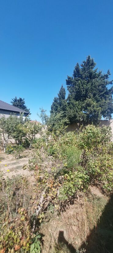 Həyət evləri və villaların satışı: Buzovna 3 otaqlı, 100 kv. m, Kredit yoxdur, Orta təmir — 8