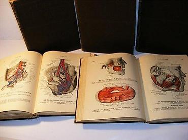 lepe devojke: Anatomski atlas čoveka u 5 tomova Sinelnikov, VorobievAtlas anatomije — 6