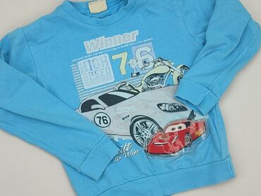 sweterek cienki: Sweatshirt, 5-6 years, 110-116 cm, condition - Fair