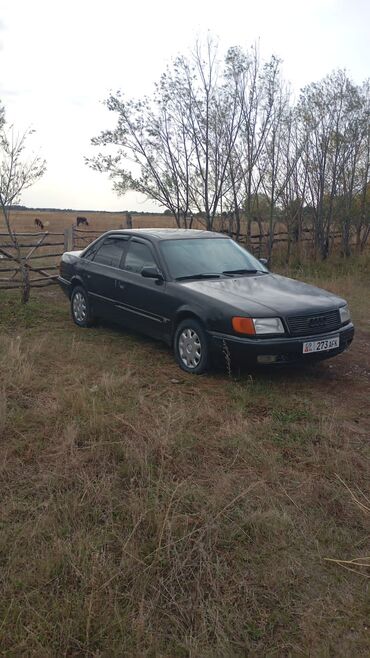 обмен дом на авто: Audi 100: 1994 г., Седан
