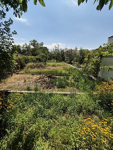 Продажа дачи: Продаётся дача под горами. Экологически чистый район, 30мин от — 4