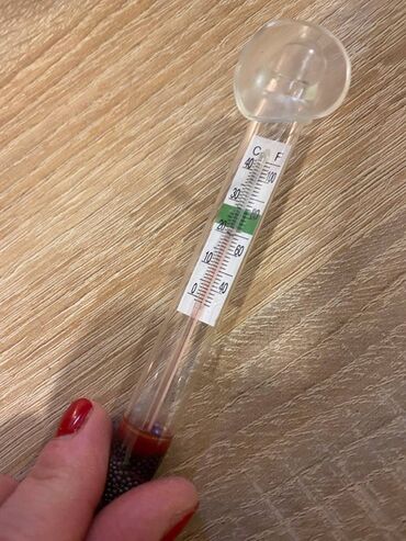 Ostali proizvodi za kuću: Zivin Stakleni Termometar inkubator — 25