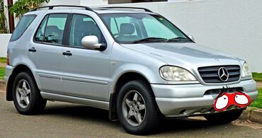 Mercedes-Benz: Mercedes-Benz M-Class: 1999 г., 3.2 л, Автомат, Бензин, Жол тандабас