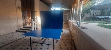 настольный тенисный стол: Профессиональный теннисный стол для игры в помещении в хорошем