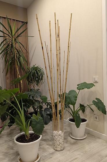 Декор для дома и сада: Декор для дома и сада — 9