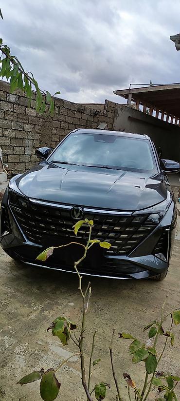 235 55 17: Changan Uni-T: 1.5 l | 2025 il 21000 km Krossover — 6