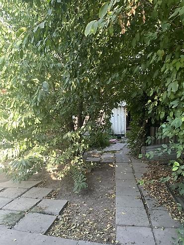 Продажа домов: 3 комнаты, 54 м², 200 соток, Бишкек, Турбаза Собственник — 3