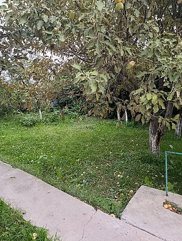 Продажа дачи: Навес/веранда у дома - Просторный навес на опорах, примыкает к стене — 8