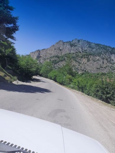 Landşaft işləri: Kupcalı 41 sot torpaq 20 sotda satilir — 5