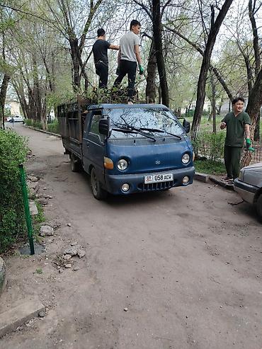 жалюзи бишкек цены: Заказать Хендай портер, Вывоз бытового мусора, С откидным кузовом (самосвал) — 3