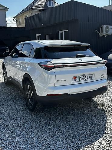 jeely coolray: Электромобиль Skyworth Skyworth EV (бренд-логотип на кузове), белый — 4
