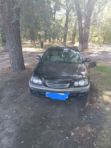 Toyota: Toyota Avensis: 1999 г., 1.6 л, Механика, Бензин, Седан