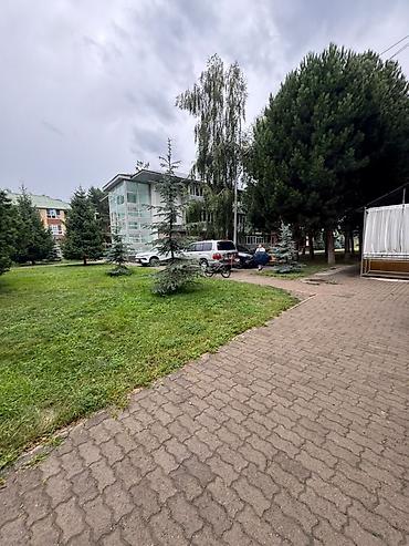 Продажа квартир: 2 комнаты, 50 м², 1 этаж, Евроремонт — 3