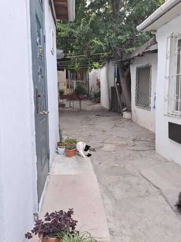 Uzunmüddətli kirayə mənzillər: Seherin merkezinde merkezi parkin yaninda 1 otagli menzil kiraye — 9