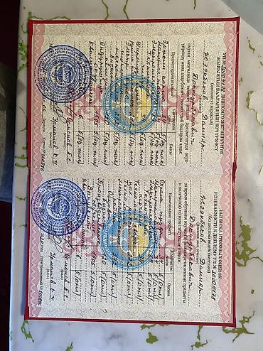 Электрики: Электромантаж любой сложности Электрик Сборка шит Установка — 13