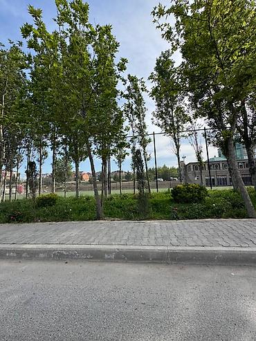 Yeni tikili: 2 otaqlı, Yeni tikili, 78 kv. m — 11