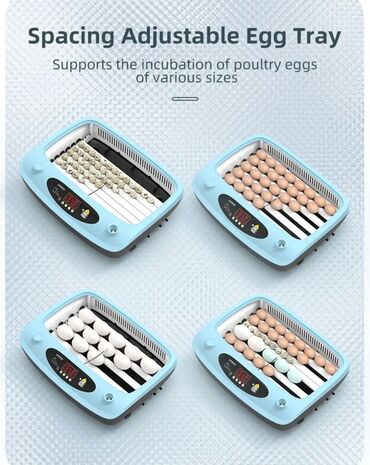 Oprema za kućne ljubimce: INKUBATOR Automatski nove generacije za 40 jaja 12v/220v — 5