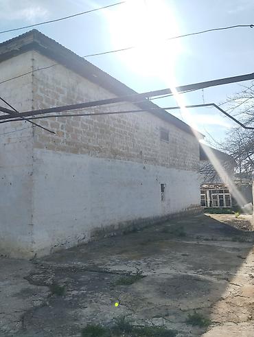 Torpaq sahələrinin satışı: Kənd təsərrüfatı — 3