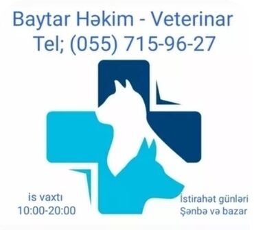 pisik hekimi: Baytar həkim xidməti-Baytarlıq kilinikası. Cərrahiyyə və