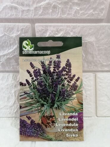 Semena i sadnice: Cena 500din/kesica — 20