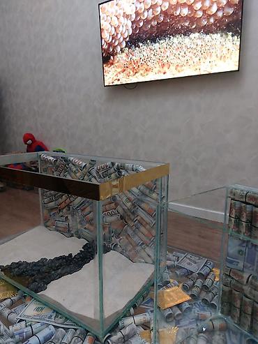 Akvariumlar: Çatdırılma tam pulsuzdu ölçü və dizaynında dəyişiklik etməy olar arxa — 32