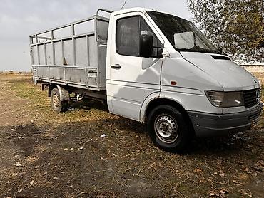 фара задняя спринтер: Mercedes-Benz Спринтер: 2000 г., 2.9 л, Механика, Дизель, Бус — 2