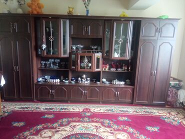 Ev üçün digər mebel: Dolab