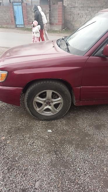 Subaru: Subaru Forester: 2001 г., 2.5 л, Автомат, Бензин, Универсал — 3