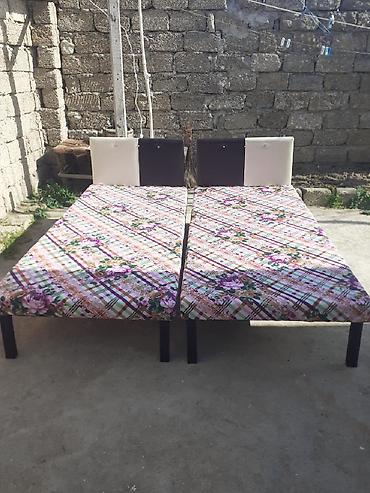 Kravat taza 
Hazırı var — 1