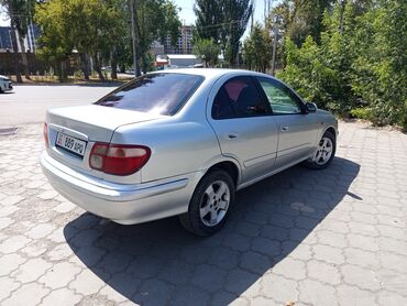 прицеп для машины бу: Nissan Almera: 2001 г., 1.8 л, Механика, Газ, Седан