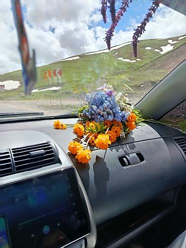 fit 2012: Honda Jazz: 2003 г., 1.4 л, Вариатор, Бензин, Хэтчбэк — 3