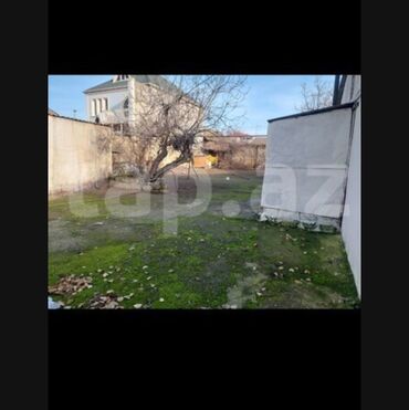 Torpaq sahələrinin satışı: Tikinti, Mülkiyyətçi, Kupça (Çıxarış) — 8