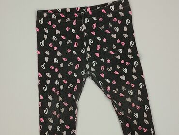 rajstopy bawelniane: Legginsy, So cute, 12-18 miesięcy, stan - Bardzo dobry