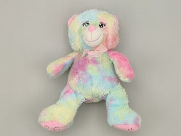 plame klapki: Mascot Teddy bear, condition - Good