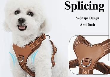 Зоотовары: Yeni it sinə qayışı – XS ölçü 🐶 Tam yenidir, istifadə olunmayıb — 1