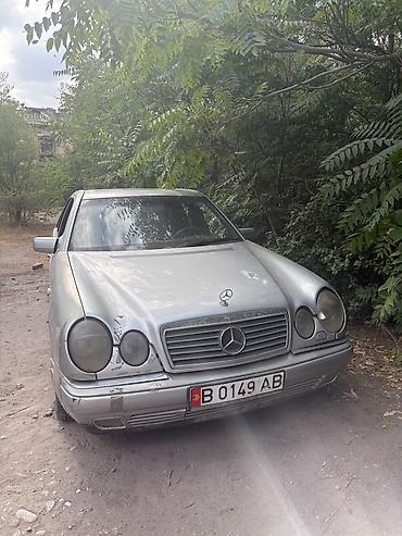 x class: Mercedes-Benz E-Class: 1995 г., 3.2 л, Автомат, Бензин, Седан — 1