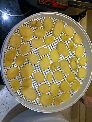 Сушилки для овощей и фруктов: Дегидраторы-сушилки для овощей и фруктов российского производства — 9